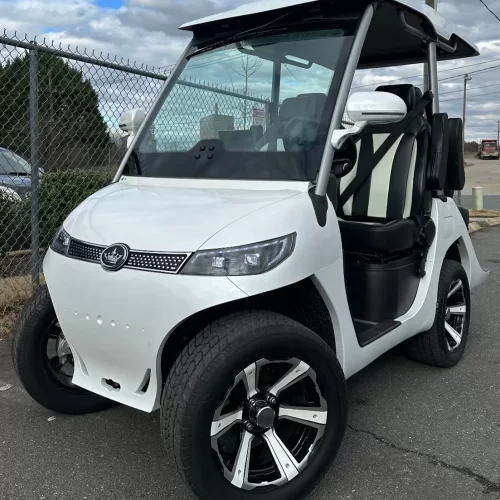 2022 Evolution D3 48V Lithium Ion 4 Seater Electric Golf Cart for Sale