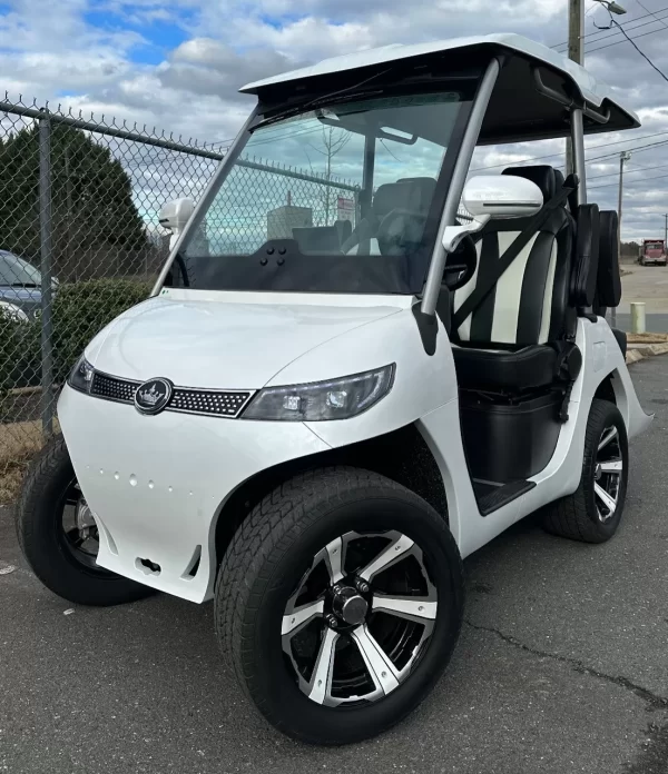 2022 Evolution D3 48 V Lithium Ion 4 Seater Electric Golf Cart for Sale