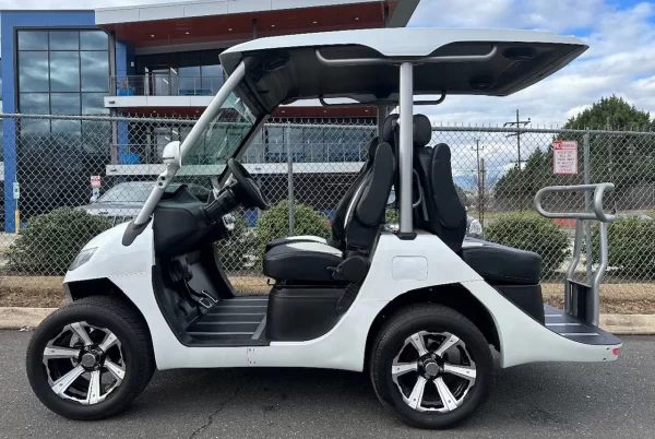 2022 Evolution D3 48 V Lithium Ion 4 Seater Electric Golf Cart for Sale