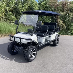 2023 Evolution Forester 48V Lithium Ion 6 Seater Electric Golf Cart for Sale