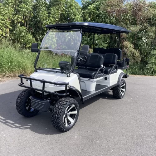 2023 Evolution Forester 48V Lithium Ion 6 Seater Electric Golf Cart for Sale