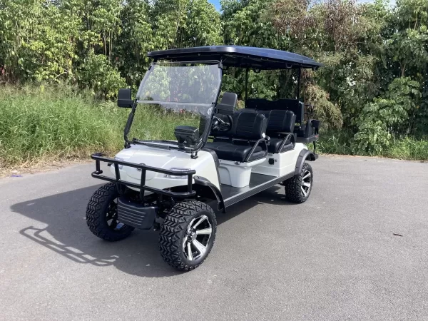 2023 Evolution Forester 48V Lithium Ion 6 Seater Electric Golf Cart for Sale
