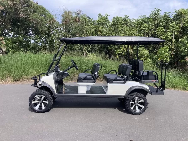 2023 Evolution Forester 48V Lithium Ion 6 Seater Electric Golf Cart for Sale