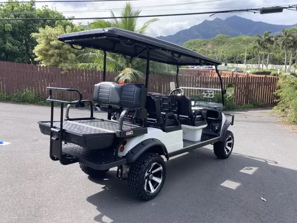 2023 Evolution Forester 48V Lithium Ion 6 Seater Electric Golf Cart for Sale