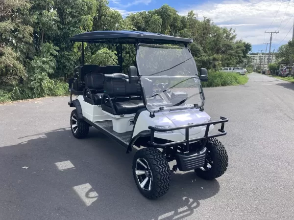 2023 Evolution Forester 48V Lithium Ion 6 Seater Electric Golf Cart for Sale