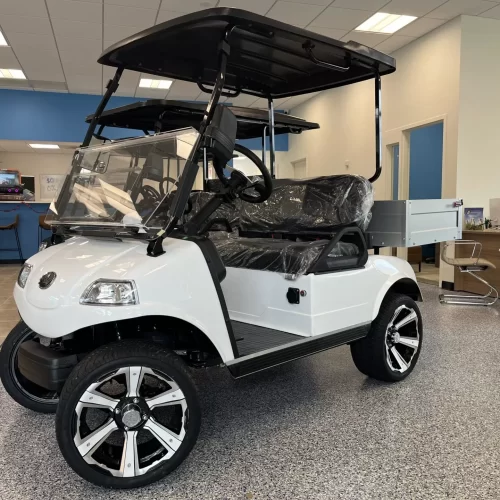 2023 Evolution Turfman 48V Lithium Ion 2 Seater Electric Golf Cart for Sale
