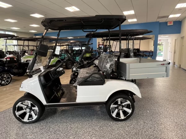 2023 Evolution Turfman 48V Lithium Ion 2 Seater Electric Golf Cart for Sale