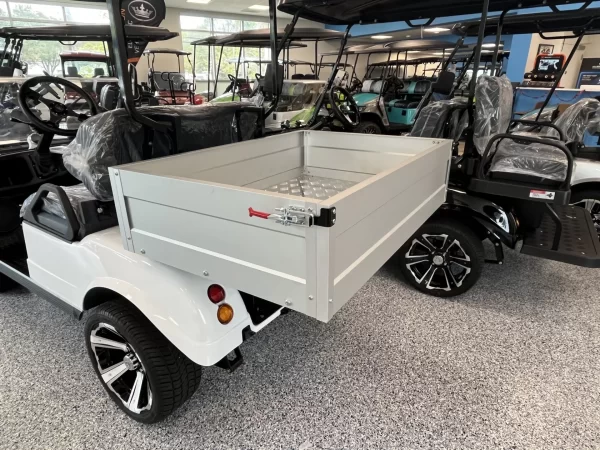 2023 Evolution Turfman 48V Lithium Ion 2 Seater Electric Golf Cart for Sale
