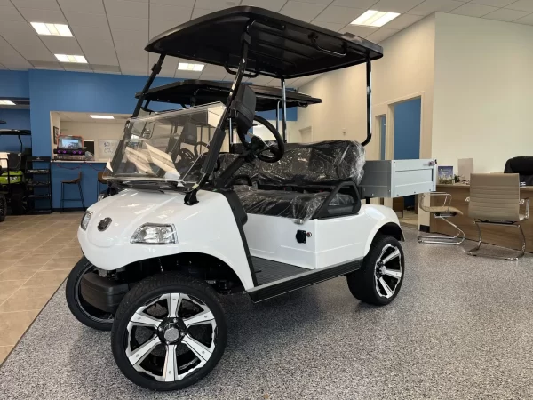 2023 Evolution Turfman 48V Lithium Ion 2 Seater Electric Golf Cart for Sale
