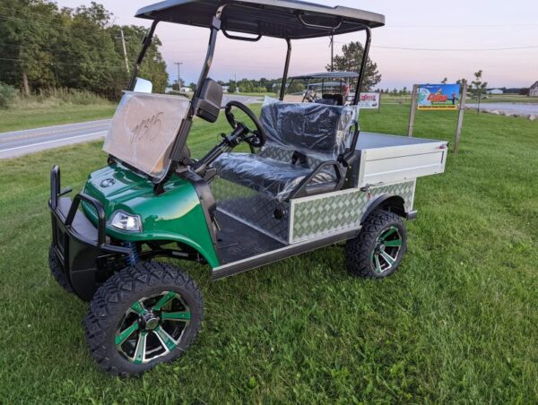 2023 Evolution Turfman 800 48V Lithium Ion 2 Seater Electric Golf Cart for Sale