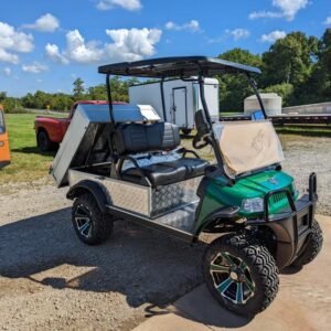 2023 Evolution Turfman 800 48V Lithium Ion 2 Seater Electric Golf Cart for Sale