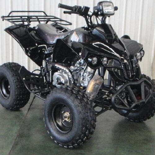 125cc Atlas AtSki w/Reverse Junior Snowmobile for Sale