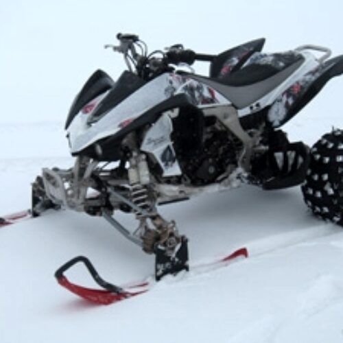110cc Badger Utility 4 Stroke Fully Auto AtSki Quad Snowmobile for Sale