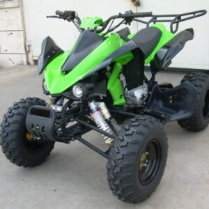 250cc Grim Reaper Four Stroke AtSki Snowmobile for Sale