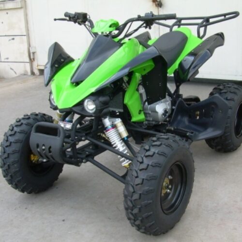 250cc Grim Reaper Four Stroke AtSki Snowmobile for Sale