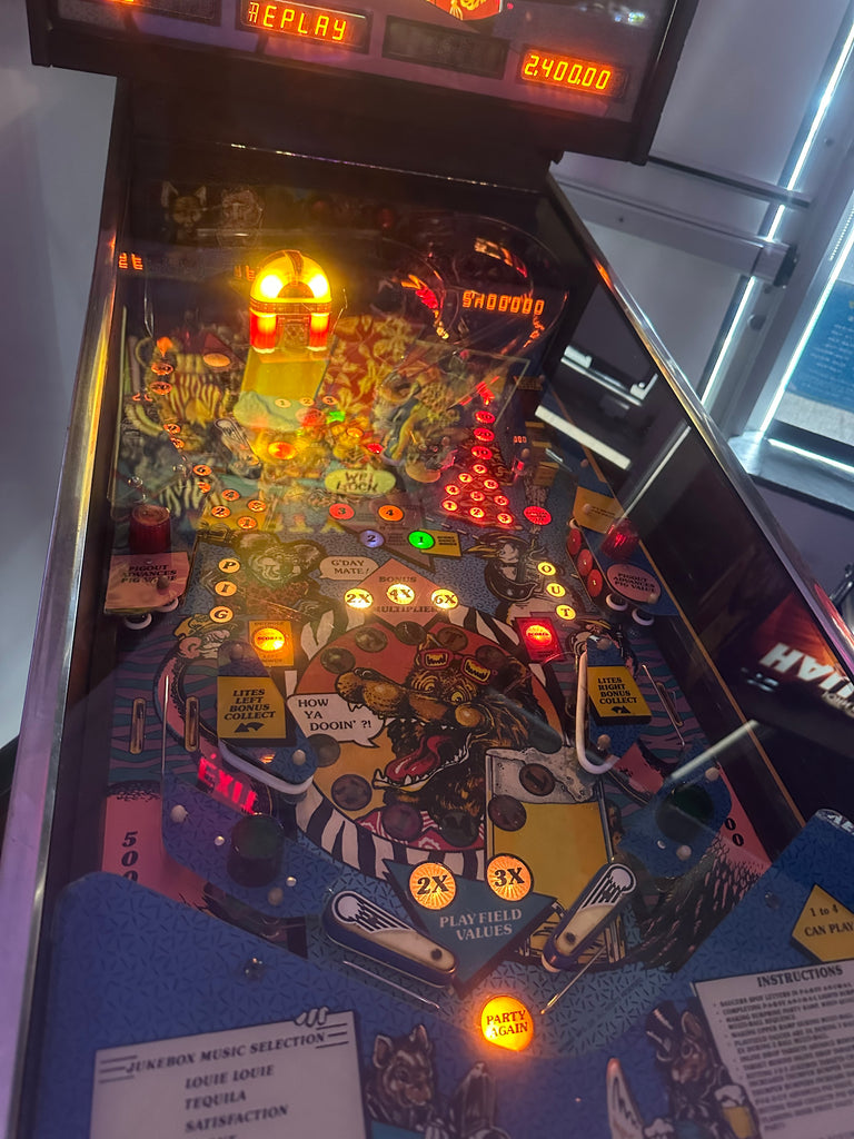 Bally Party Animal Pinball Machine for sale ()